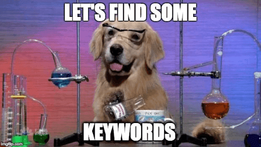 dog meme keywords